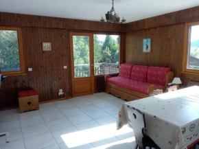 Appartement cosy au Chinaillon, proche commerces et pistes, 4 pers, animaux admis. - FR-1-467-69